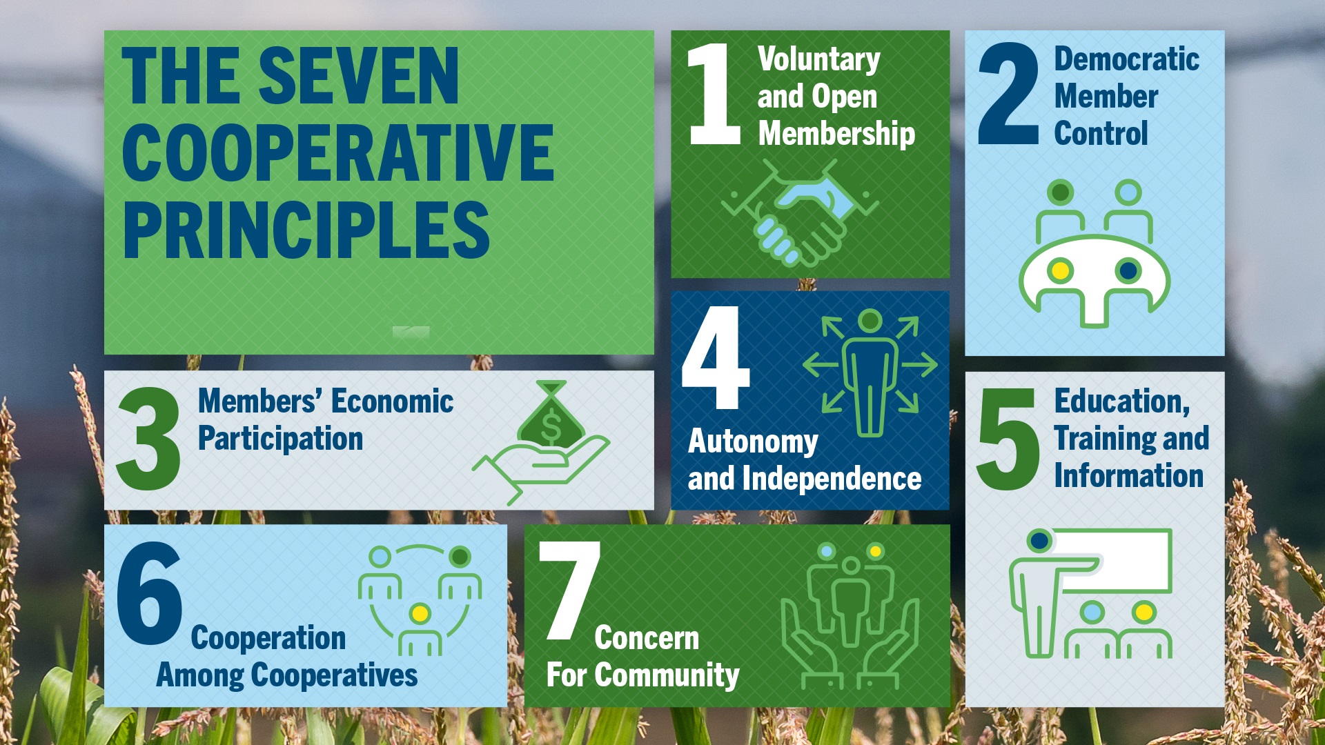 The Seven Cooperative Principles
