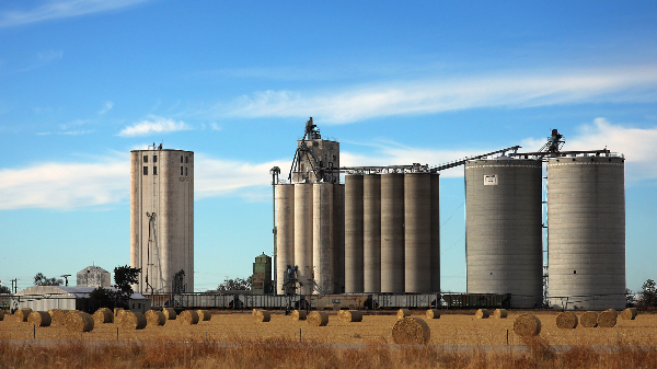 The Year Ahead: Forces That Will Shape the Canadian Rural Global economy in 2024